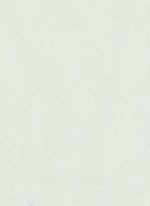 Load image into Gallery viewer, Edgeband | Y66 Metallic Pearl White