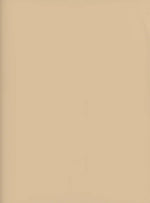 Load image into Gallery viewer, Edgeband | Y65 Evora