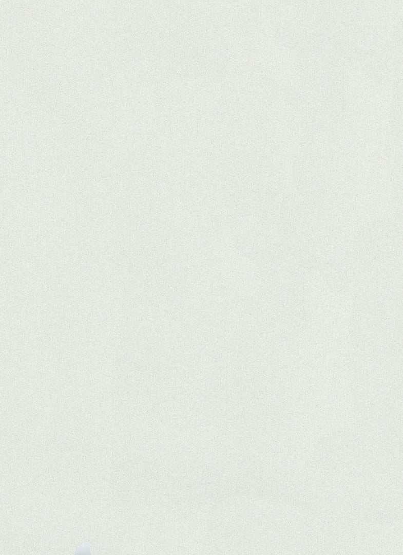 Edgeband | Y66 Metallic Pearl White