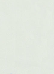 Edgeband | Y66 Metallic Pearl White