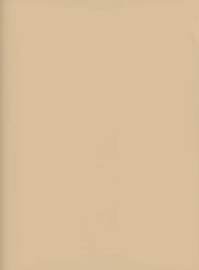 Edgeband | Y65 Evora