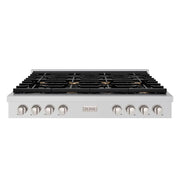 ZLINE 48 in. Paramount Gas Rangetop with 8 Brass Burners and Porcelain Cooktop in Stainless Steel (SRT-BR-48)
